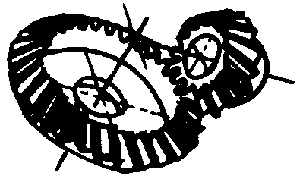 �X݆�����g(sh��)�Z(y��)һ�㶨�x