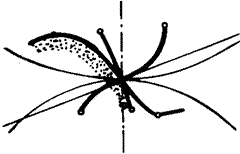 �X݆�����g(sh��)�Z(y��)һ�㶨�x