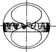 �X݆�����g(sh��)�Z(y��)�F�X݆����(zh��n)�p�����X݆�����X݆��