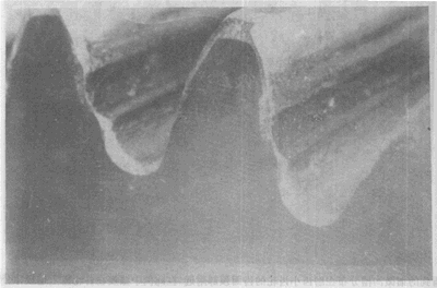 �X��ēp���E��